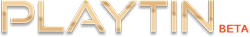 Playtin logo Playtin